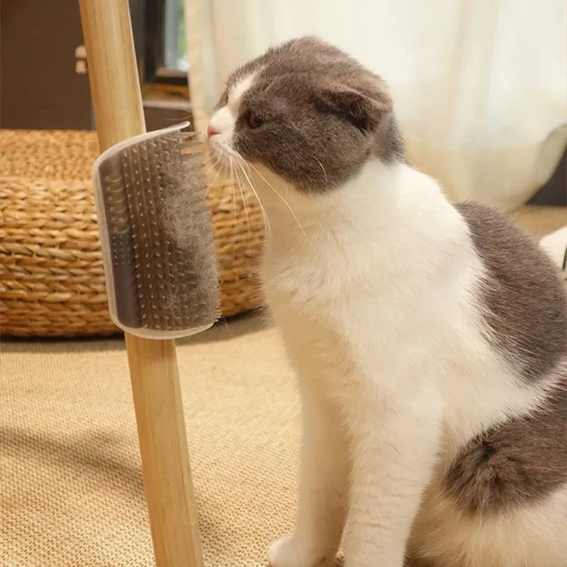 Corner Back Scratcher